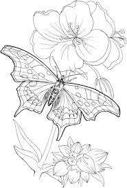 You can print or color them online at. Free Printable Coloring Books For Adults Coloringnori Coloring Pages For Kids