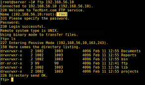 How To Install, Configure And Secure Ftp Server In Centos 7 -  [Comprehensive Guide]