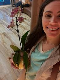 playing blue danube by johann strauss*