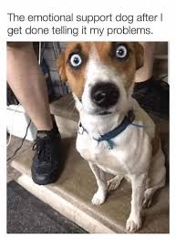 Doggoliciously Mighty Dog Memes 22 Memes Funny Dog Memes Emotional Support Dog Dark Humor Jokes