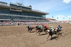 Canterbury Park Shakopee 2019 All You Need To Know