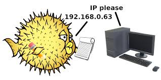 After a static ip has been configured in the device (in the same network as your computer), you will need to disable the dhcp server as to prevent further conflicts. Setting Up A Dhcp Server On Openbsd 6 7 Lambda Cx Blog