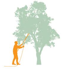 108 glendale rd, exton (pa), 19341, united states. O Neil S Tree Service