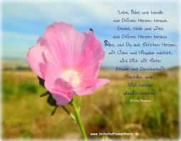 Meine Eigenen Zitate Sprüche Seelen Botschaften