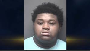 Greenville murder suspect takes a plea during trial