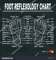 Hand Drawn Foot Reflexology Chart On Stock Vector Royalty