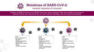 Here's everything you need to know about covid variants. The Natural Evolution Of Sars Cov 2 How Science Responds To These Challenges