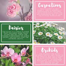 Hours may change under current circumstances Conroy S Flowers Rancho Cucamonga Conroysranchoc Twitter