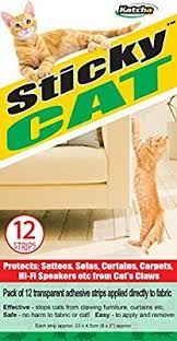 Sticky Cat Claws Stop Cats From Clawing At Your Furniture Cat Claws Best Cat Litter Cats