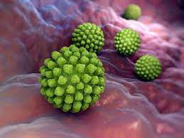 Infecția cu rotavirus provoacă diaree severă. Transmision Y Sintomas De La Gastroenteritis Por Rotavirus