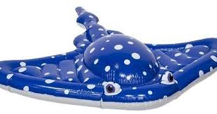 Swimways Disney Finding Dory Mr Ray Ride On Ad Poolfloat Waterfloat Floatie Stringray Blue Beac Baby Pool Floats Pool Floats For Kids Cute Pool Floats