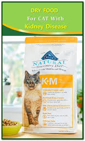 Dry Food For Cats With Kidney Disease Cat Food Sensitive Stomach Cat Food Emotional Support Dog