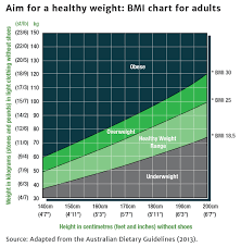 organized height to weight ratio chart for adults height