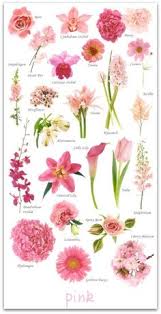 Check spelling or type a new query. 460 June Wedding Flowers Ideas Wedding Flowers June Wedding Flowers Wedding Bouquets