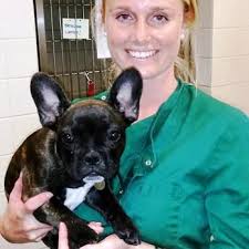 KYDD & KYDD VETERINARY HEALTH CENTRE