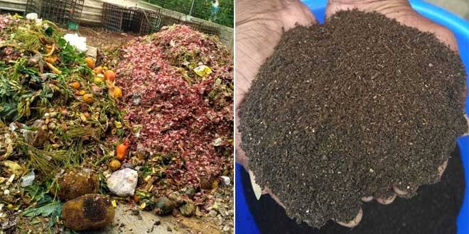 Biomass Energy