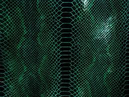 Black And Green Aesthetic Wallpapers Wallpaper Cave Hd wallpapers and background images. black and green aesthetic wallpapers