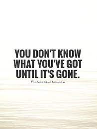 You Don T Know What You Ve Got Until It S Gone Picture Quotes