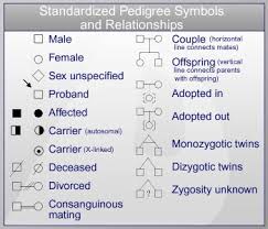 Genetic Inheritance Patterns Michigan Genetics Resource Center