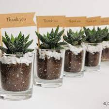 Wedding Corporate Gifts Plant A Gift Melbourne Australia Succulent Wedding Favors Succulent Wedding Plant Wedding Favors