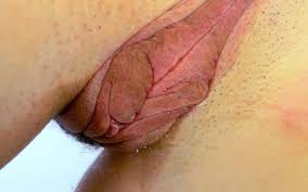 Kittyland Nude - UHD 4K XXX 2025 - Scoreland Kitty Cute Fotongentot