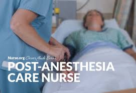 How To Become A Pacu Nurse Salary Requirements