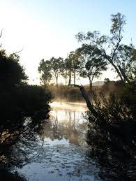 Pin By Lisa Martin On Ldm Beentheredonethat Rockhampton Australia Brisbane