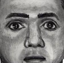 Man suspected of stealing plane now in custody