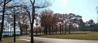 See traveler reviews, 4 candid photos, and great deals for the boulders at lake tyler, ranked #1 of 1 specialty lodging in whitehouse and rated 5 of 5 at tripadvisor. Lake Tyler Texas Area Attractions Things To See Things To Do Side Trips