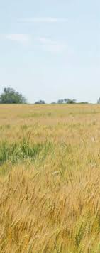 Love of farming spurs him