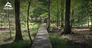 White oak lake state park