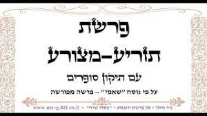 פרשת תזריע הרב מרדכי דוד נויגרשל. ×§×¨×™××ª ×¤×¨×©×ª ×ª×–×¨×™×¢ ×ž×¦×•×¨×¢ Youtube