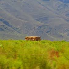 J.A.R HEAD (@j.a.rhead) • Instagram photos and videos