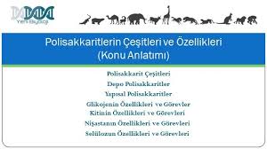 Polisakkaritlerin Cesitleri Ve Ozellikleri Konu Anlatimi Komik Fikralar Biyoloji Hayvan Hucreleri