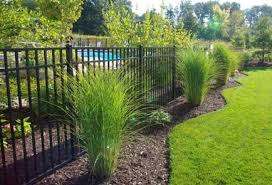 I Like The Groundwork And Ornamental Grass Plantings Under The Fence Landscaping Around Pool Inground Pool Landscaping Privacy Fence Landscaping