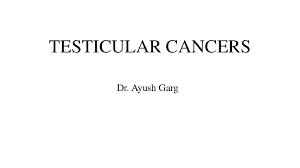 Testicular cancer in dogs is totally preventable and really easy to achieve; Testicular Tumors