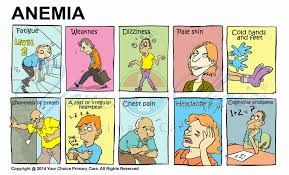 Image result for Anemia simii