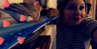 Amateur Hatchlings. What the heck are you beeping about if you're not going  to stop and have a chat about it?