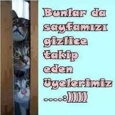 Kedi Replikleri 3 Panosundaki Pin