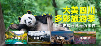 铃木杏里少年爱