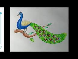 Bird Sitting On Tree Drawing For Kids How To Make Peacock Sitting On The Branch Easy Steps Easy Peacock Drawing Realistic Peacock Youtube In 2020 Peacock Drawing Bird Drawing For Kids Easy Drawings