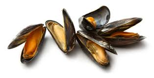 The right appliances make small kitchens more comfortable. How To Cook Mussels Mussel Cooking Tips Cooking With Pei Mussels Pei Mussels