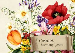 Visit this site for details: Happy Birthday An Eloquent Arrangement E Card By Jacquie Lawson