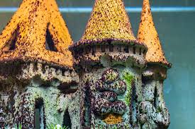 Mit diversen ungiftigen hausmitteln lässt sich effizient grünbelag entfernen, egal ob moos, algen, grünspan oder flechten auf terasse, wegen der entstehung von moos und flechten vorbeugen. Schwarze Algen Im Aquarium So Bekampfen Sie Sie