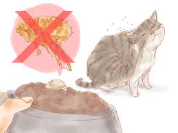 Nine times out of ten, fleas will cling to your. 3 Ways To Kill Fleas In A Home Wikihow