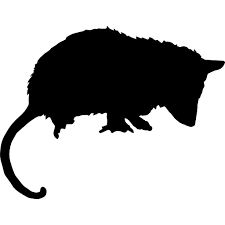 Opossum Mammal Animal Silhouette Free Vector Icons Designed By Freepik Animal Silhouette Silhouette Free Free Icons