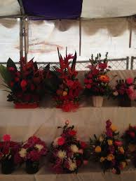 We did not find results for: Lily S Flowers Lilysflowerssb Twitter