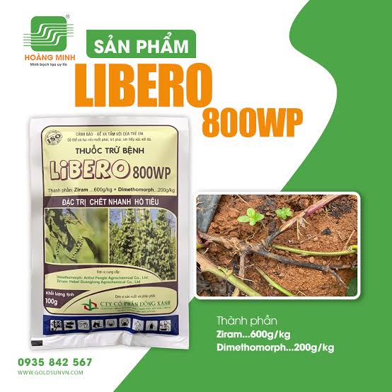 Libero 800WP