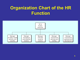 hr functions flow chart bedowntowndaytona com