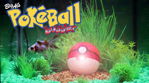 We Built A Pokeball Aquarium Bubbler Bigalspets Com Bubbler Pokeball Aquarium